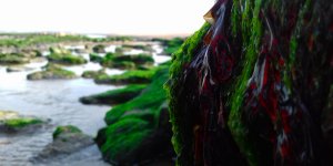 20190801_195711.jpg