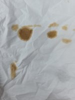 image-1770636804700.jpg