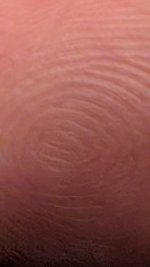 1000012095.jpg