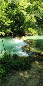 IMG_20260427_140349.jpg