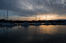 P5S_7650.jpg